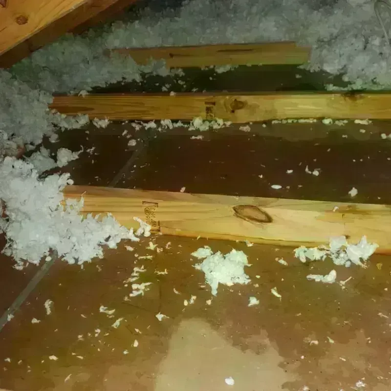 Attic Water Damage in Colwich, KS